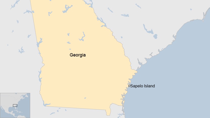 At least 7 people were killed and several injured after a gangway collapsed on Sapelo Island, Georgia. Authorities are investigating the incident.